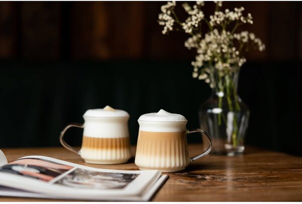 Dvoustěnné hrnky na cappuccino v sadě 2 ks 320 ml Mia – Vialli Design
