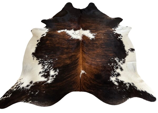 Koberec kusový hovězí kůže 3,8 m2, exotic tricolor 901