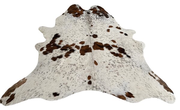 Koberec kusový hovězí kůže 3,1 m2, exotic tricolor 905