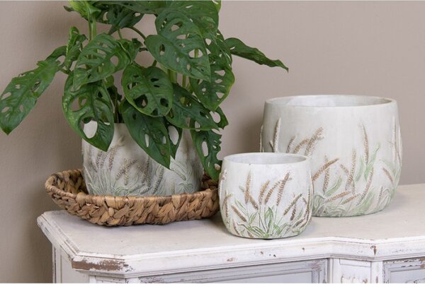 Cementový obal na květináč s jitrocelem Plantain M – 16x17 cm