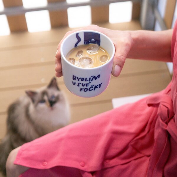 Porcelánový hrnek Bydlím u své kočky 270 ml