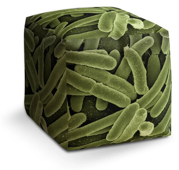 Sablio Taburet Cube Bakterie - 40x40x40 cm