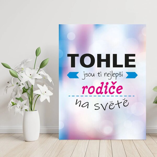 Sablio Dárková cedulka Tohle jsou ti nejlepší rodiče na světě: 30x40 cm