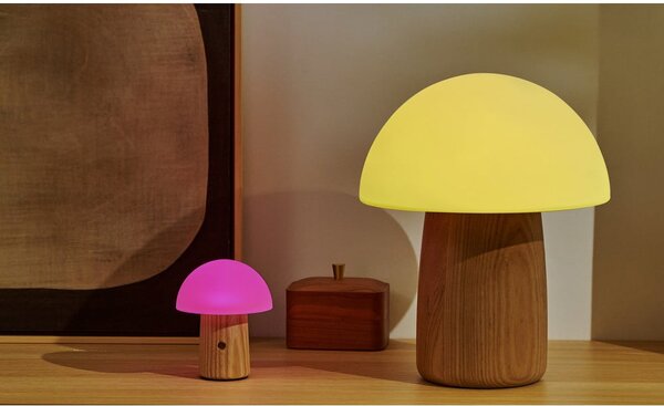 Stmívatelná stolní lampa v přírodní barvě se skleněným stínidlem (výška 13 cm) Alice – Gingko
