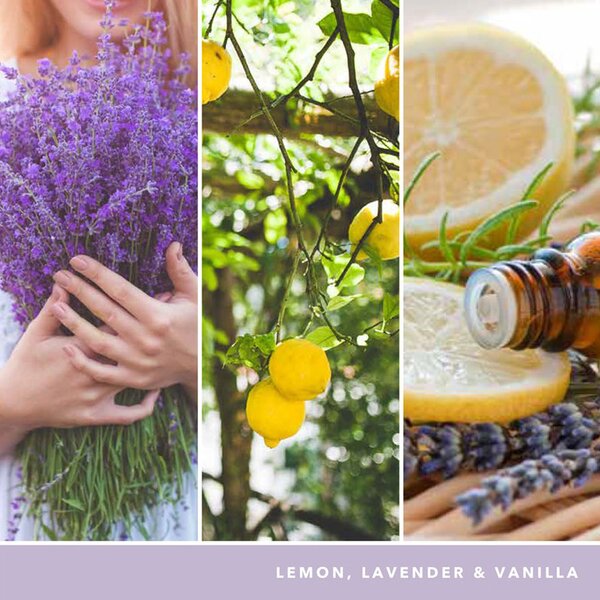 Yankee Candle svíčka Signature střední 2knoty Lemon Lavender