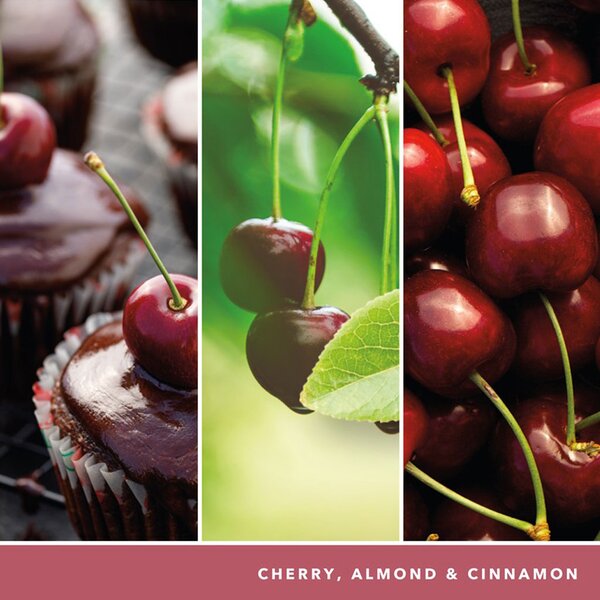 Yankee Candle svíčka Signature střední 2knoty Black Cherry