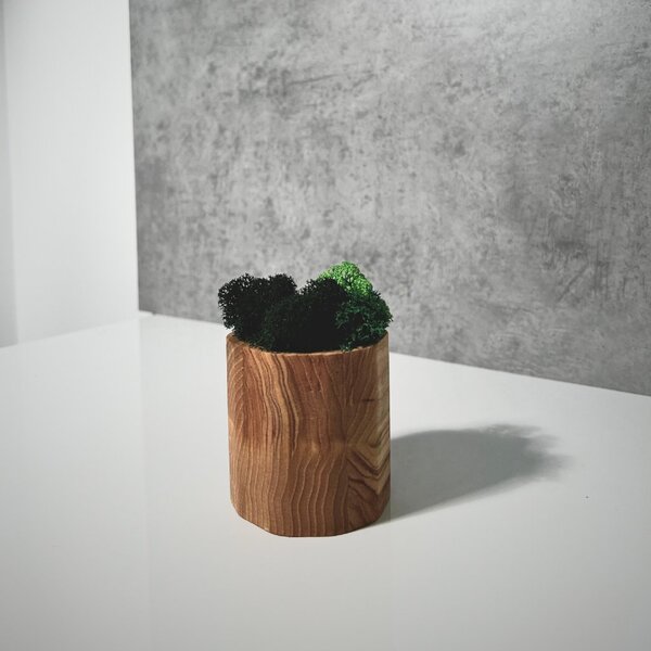 Wooden Mooden Dřevěný květináč s mechem Materiál: Jasan, Výška: 5 cm