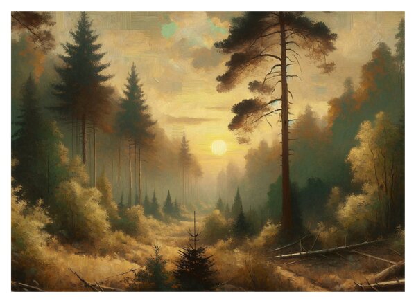 Obraz - Slunce zářící lesem (70x50 cm)