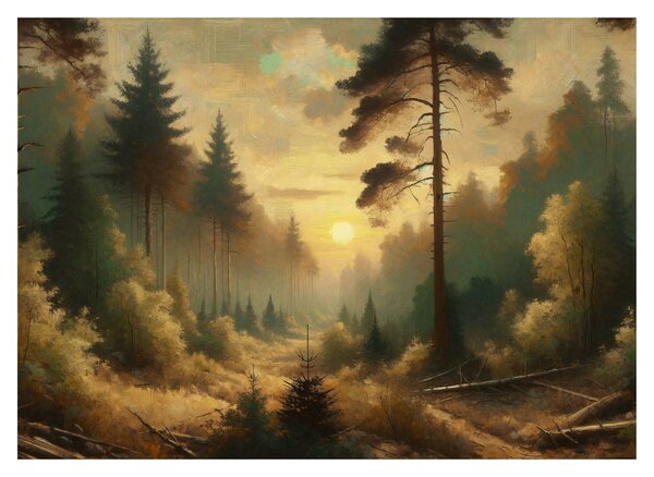 Skleněný obraz - Slunce zářící lesem (70x50 cm)