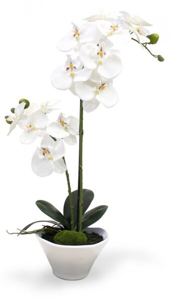 MF Umělá rostlina Orchidej (50cm) - bílá