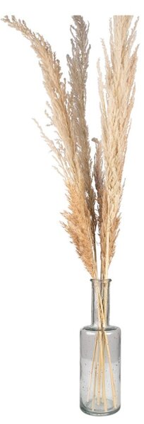 Skleněná transparentní foukaná váza Sandy – 11x34 cm