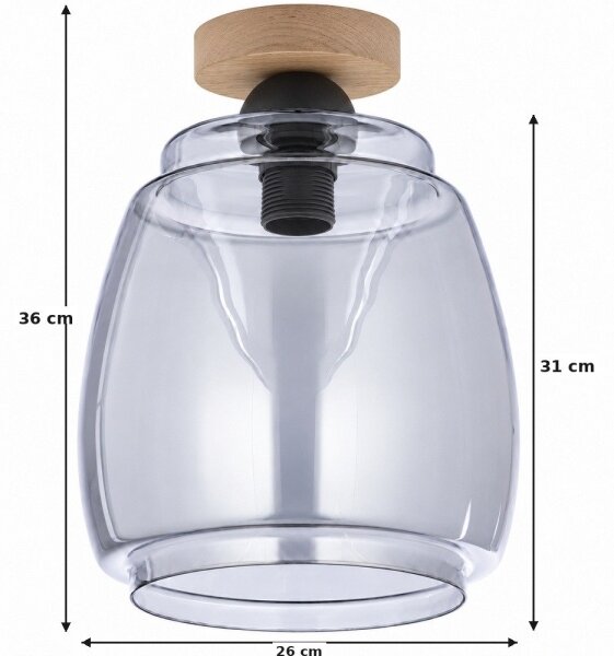 BRILAGI - LED Stropní svítidlo R GLASS 1xE27/60W/230V pr. 26 cm dub/kouř šedá