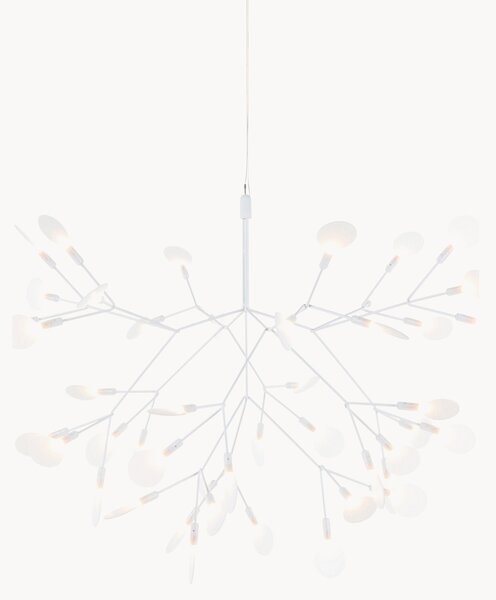LED závěsné svítidlo Heracleum III