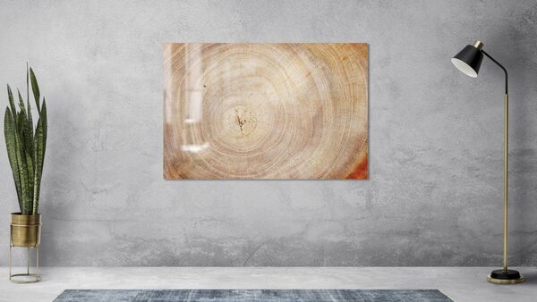 Allboards,Skleněná magnetická tabule- dekorativní obraz DŘEVO 60x40 cm,TS64_30008