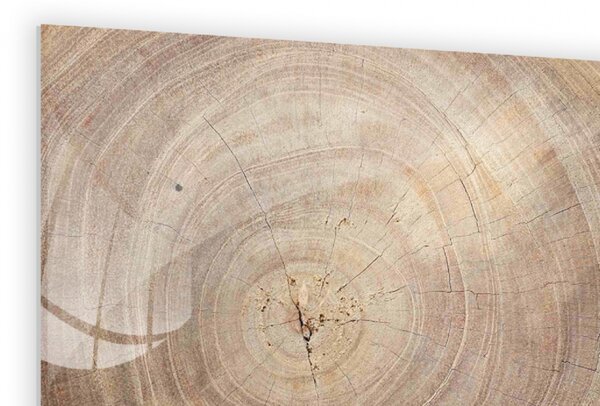 Allboards,Skleněná magnetická tabule- dekorativní obraz DŘEVO 60x40 cm,TS64_30008