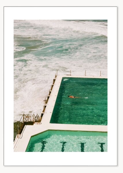 Plakát Bondi Icebergs
