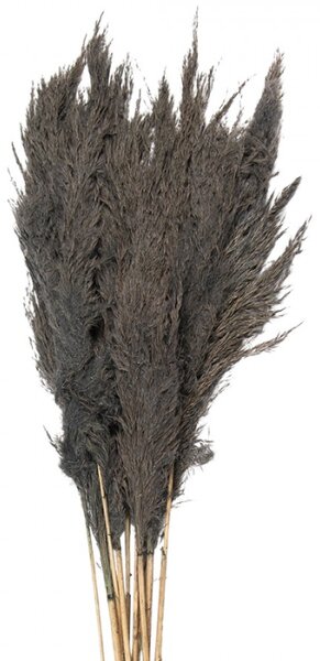 Šedá kytice sušené květy bambusu Bamboo – 100 cm