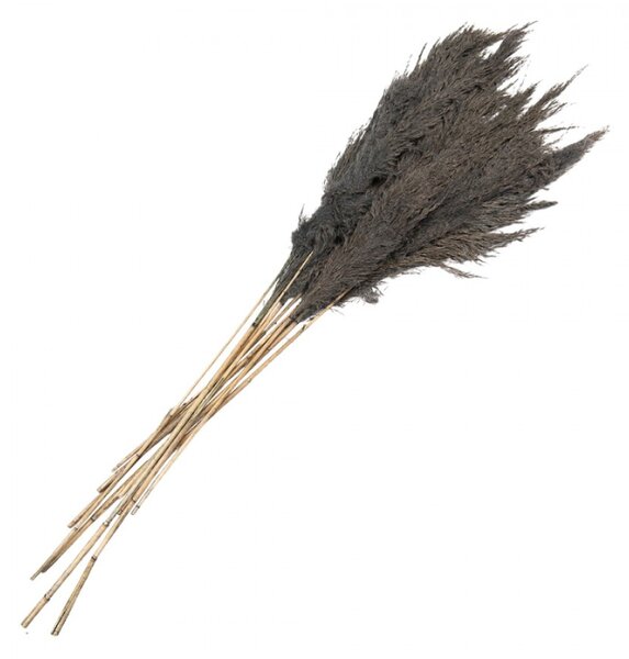 Šedá kytice sušené květy bambusu Bamboo – 100 cm