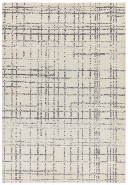 Tribeca Design Kusový koberec Dinamo Grid Grey Rozměry: 120x170 cm