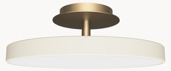 Stmívatelné stropní LED svítidlo Asteria Up Plus Mini