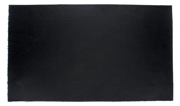Rohožka z kokosového vlákna 73x43 cm Welcome Plants – Rex London