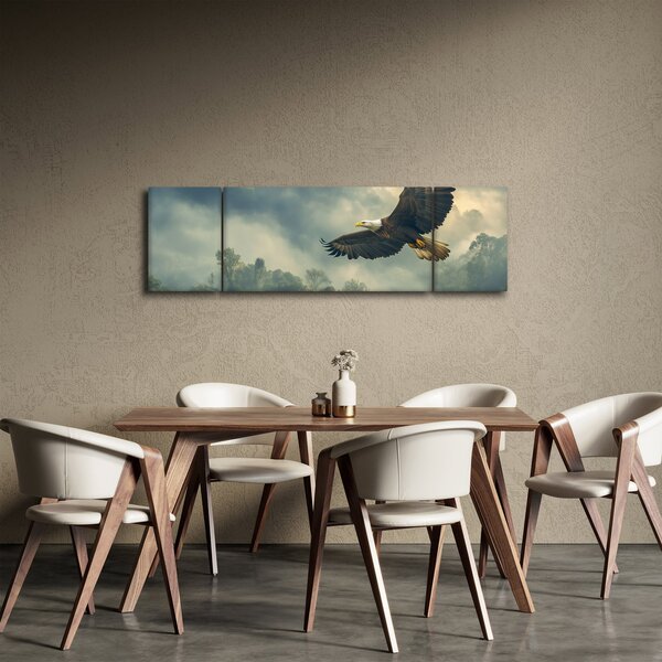 Obraz - Letící orel (170x50 cm)