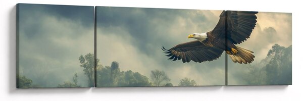 Obraz - Letící orel (170x50 cm)