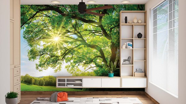 Malvis ® Tapeta Obrovský strom Vel. (šířka x výška): 144 x 105 cm