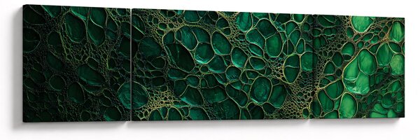 Obraz - Zelený mikroskopický snímek (170x50 cm)