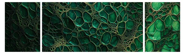 Obraz - Zelený mikroskopický snímek (170x50 cm)