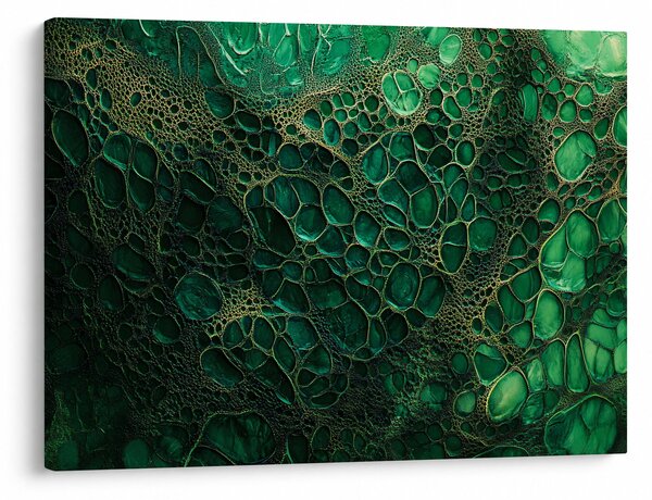Obraz - Zelený mikroskopický snímek (70x50 cm)