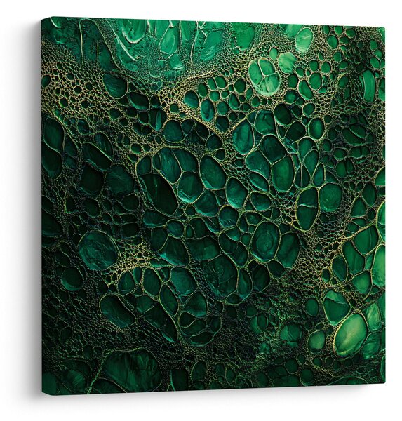 Obraz - Zelený mikroskopický snímek (30x30 cm)