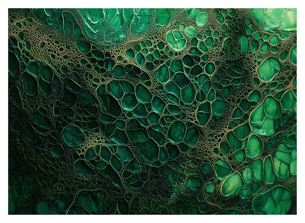 Obraz - Zelený mikroskopický snímek (70x50 cm)