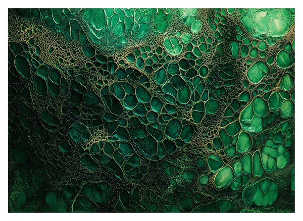 Skleněný obraz - Zelený mikroskopický snímek (70x50 cm)