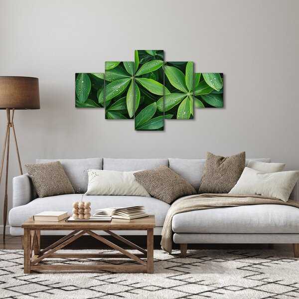 Obraz - Listy s kapkami rosy (125x70 cm)