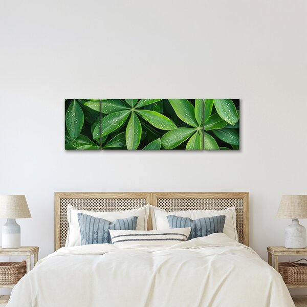 Obraz - Listy s kapkami rosy (170x50 cm)