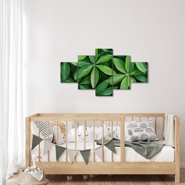 Obraz - Listy s kapkami rosy (125x70 cm)