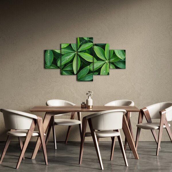 Obraz - Listy s kapkami rosy (125x70 cm)