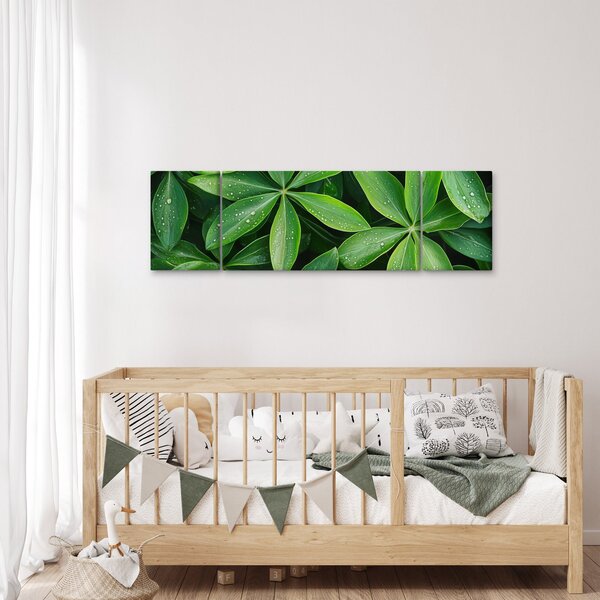 Obraz - Listy s kapkami rosy (170x50 cm)