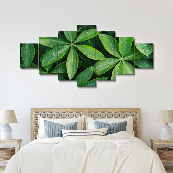 Obraz - Listy s kapkami rosy (210x100 cm)