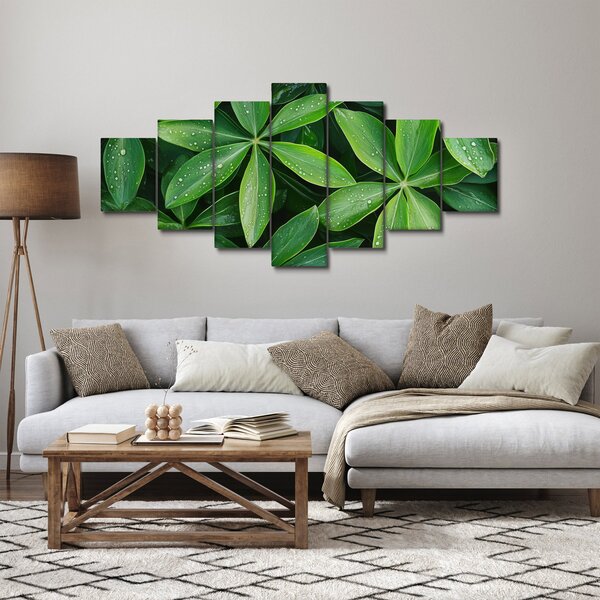Obraz - Listy s kapkami rosy (210x100 cm)