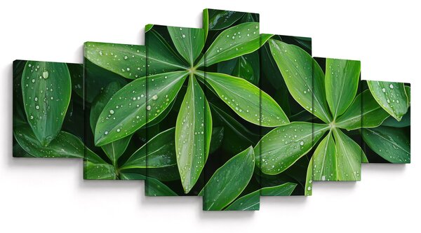 Obraz - Listy s kapkami rosy (210x100 cm)