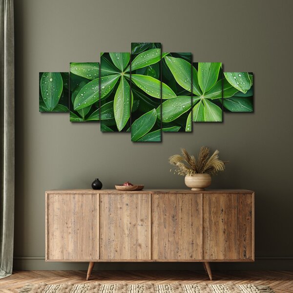 Obraz - Listy s kapkami rosy (210x100 cm)
