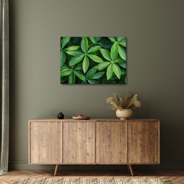 Obraz - Listy s kapkami rosy (70x50 cm)
