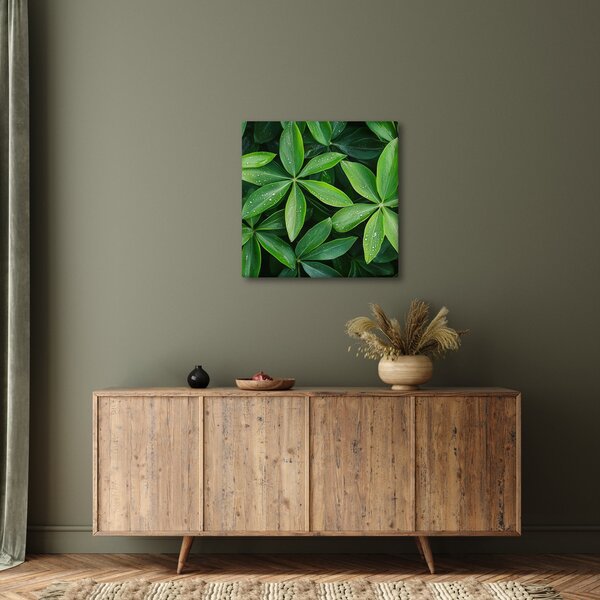 Obraz - Listy s kapkami rosy (30x30 cm)