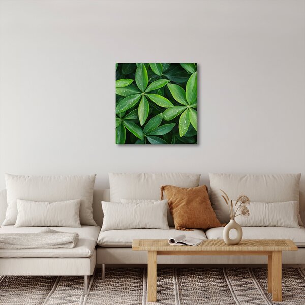 Obraz - Listy s kapkami rosy (30x30 cm)
