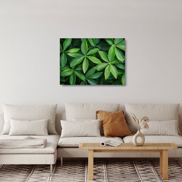 Skleněný obraz - Listy s kapkami rosy (70x50 cm)