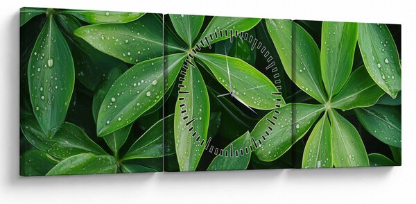 Obraz - Listy s kapkami rosy (s hodinami) (90x30 cm)