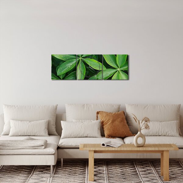 Obraz - Listy s kapkami rosy (s hodinami) (90x30 cm)