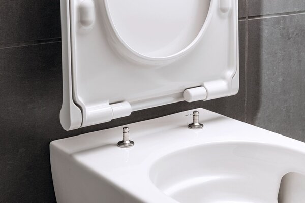 Geberit Acanto wc mísa se sedátkem s pomalým sklápěním závěsná bez splachovacího kruhu s vírovým splachováním bílá 502.774.00.8